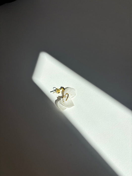 Pendientes "Susurros de Hortensia" | Pétalos Naturales Blancos Preservados | Diseño Asimétrico con Baño de Oro