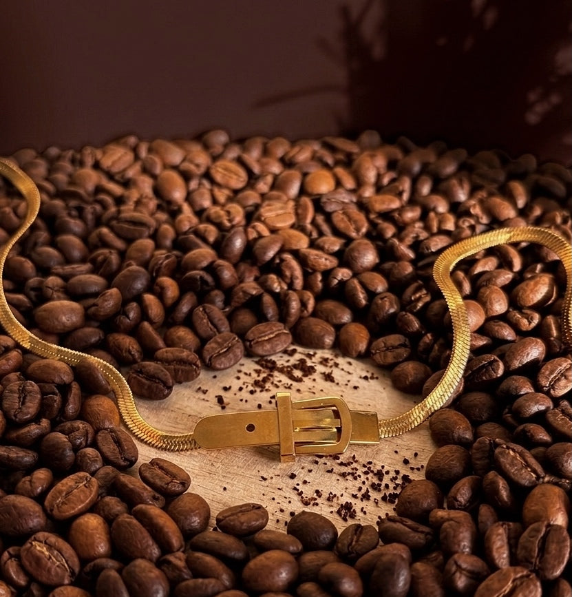 COLLAR CHOKER HEBILLA EN ACERO 316L CON BAÑO DE ORO 18 KT